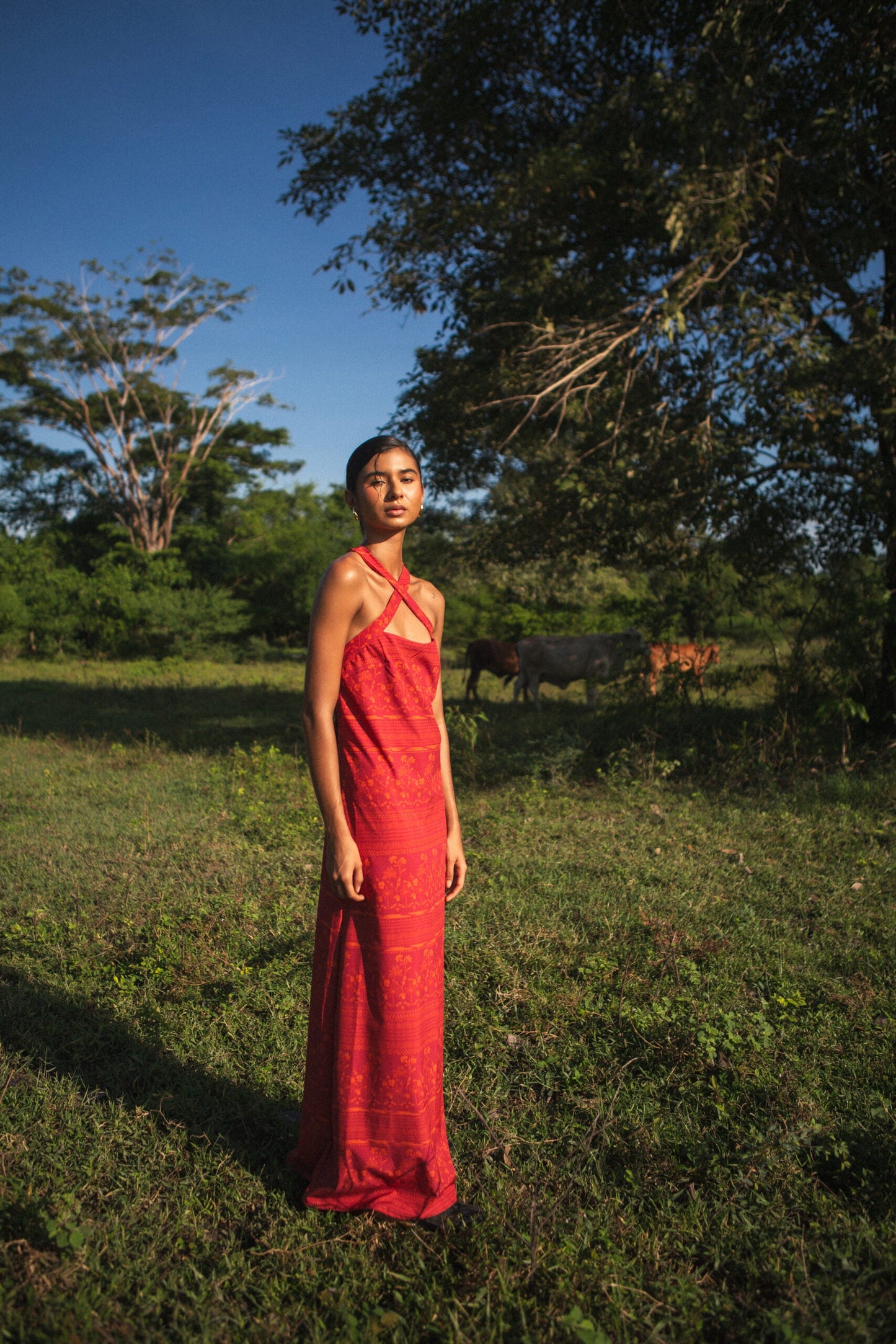 Iris Dress