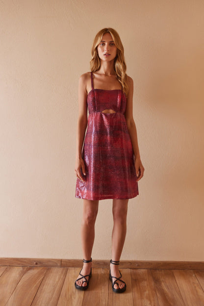Rocio Brillo Dress