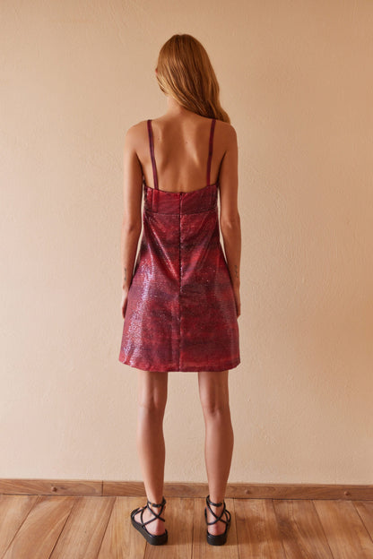 Rocio Brillo Dress